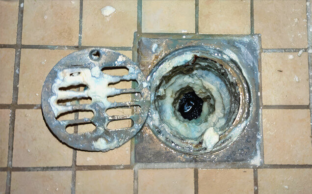 https://blockeddrainsyokine.com.au/uploads/2025/07/blocked-shower-drains-33151.jpg