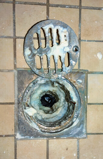 https://blockeddrainsyokine.com.au/uploads/2025/07/blocked-shower-drains-86331.jpg