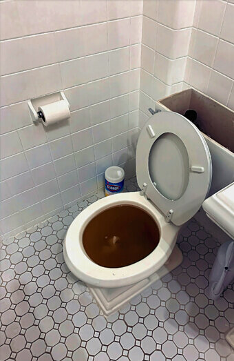 https://blockeddrainsyokine.com.au/uploads/2025/07/blocked-toilet-42230.jpg